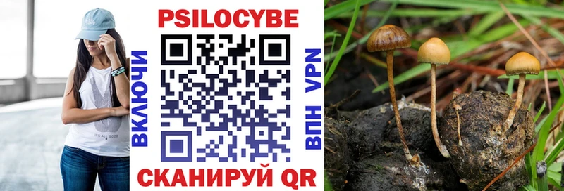ссылка на мегу ссылка  Вельск  Галлюциногенные грибы Psilocybine cubensis 