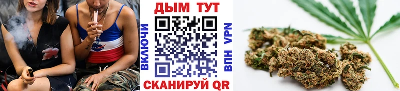 Шишки марихуана сатива  Вельск 